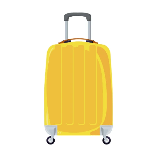 Trolly Bag